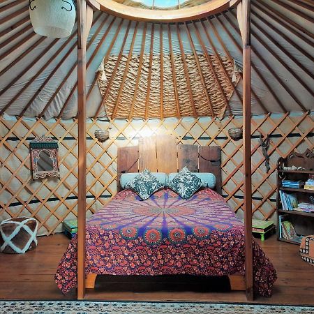 Green Man Yurt Penela Eksteriør bilde