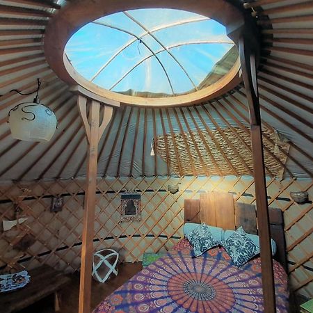 Green Man Yurt Penela Eksteriør bilde