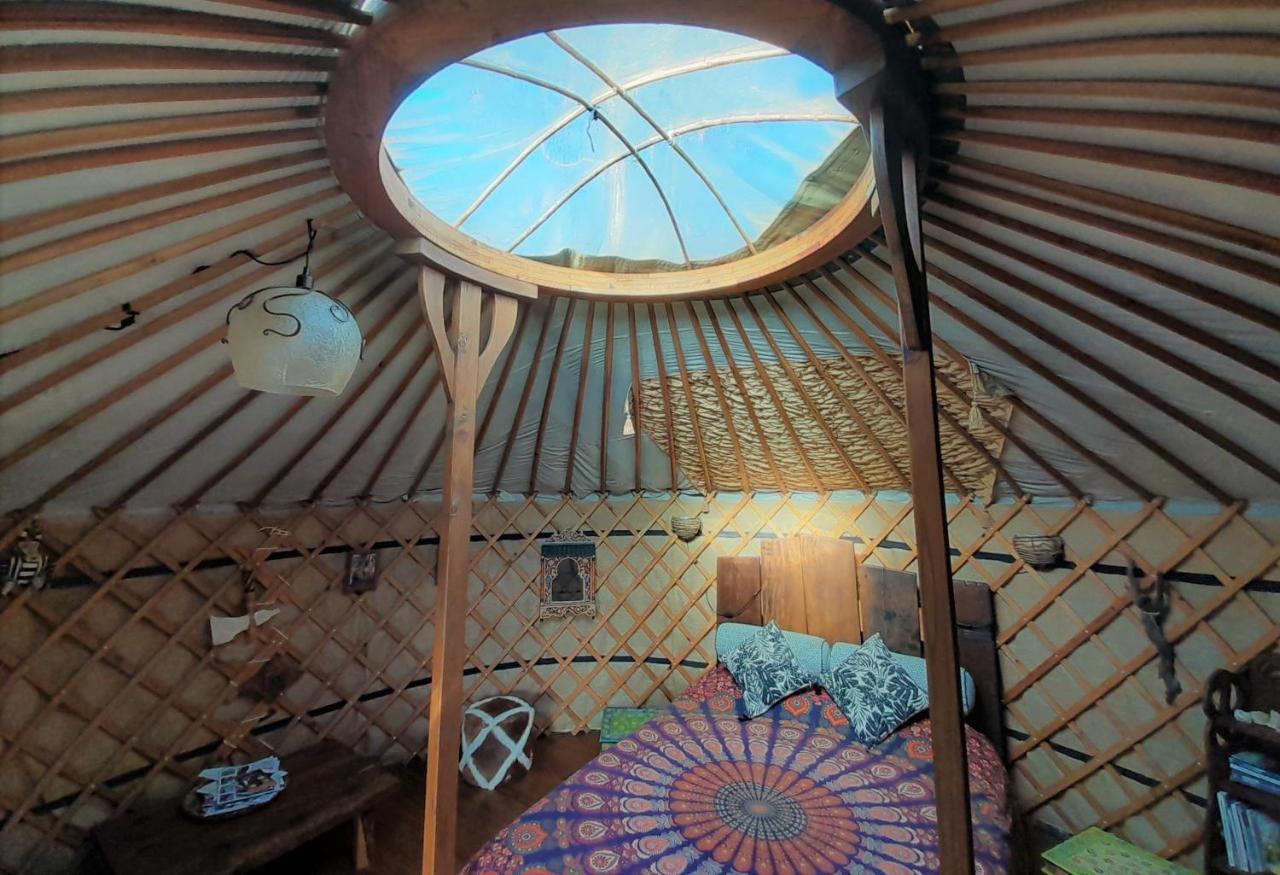 Green Man Yurt Penela Eksteriør bilde